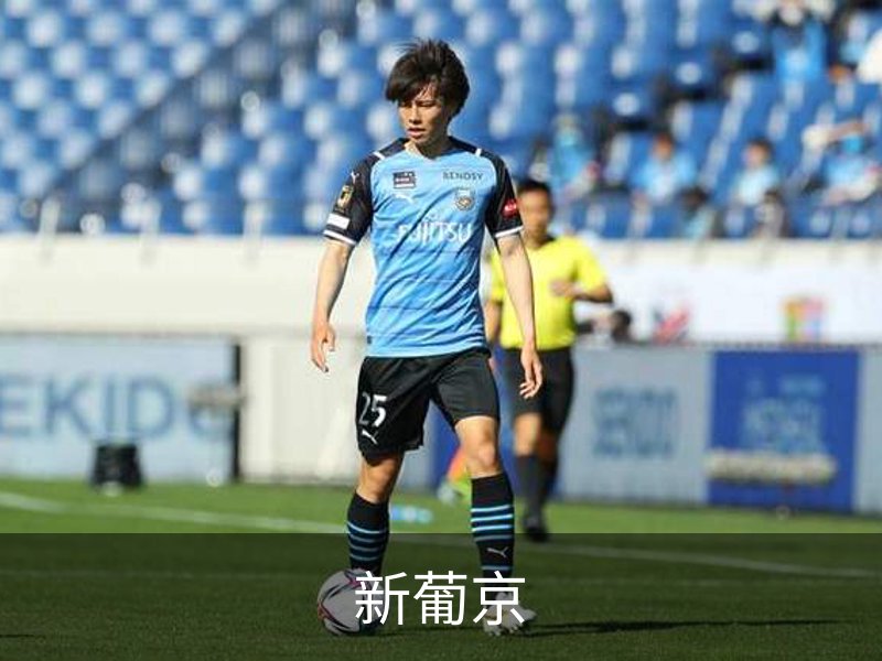 关于新葡京